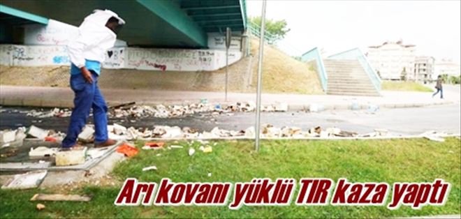 Arılar çevreye dağıldı!