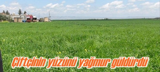 Çiftçinin yüzünü yağmur güldürdü 