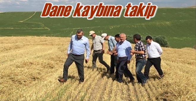 Dane kaybına takip