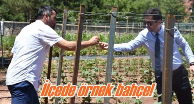 İlçede örnek bahçe!