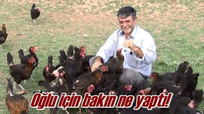 Tavuk çiftliği kurdu!