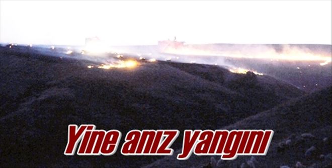 100 dönüm arazi yandı! 