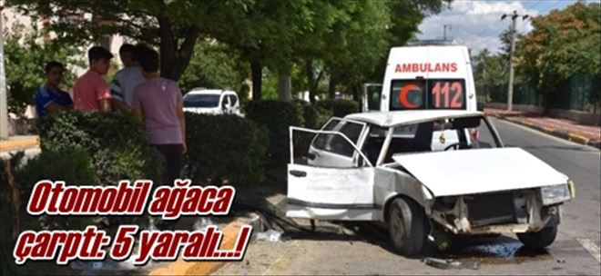 Otomobil ağaca  çarptı: 5 yaralı?!
