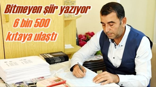Bitmeyen şiir