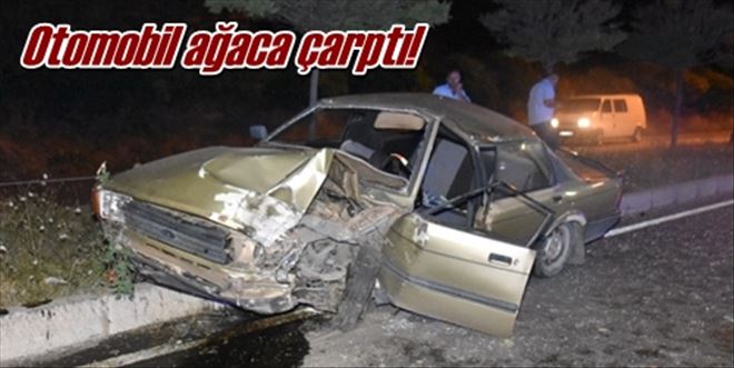 Otomobil ağaca çarptı!