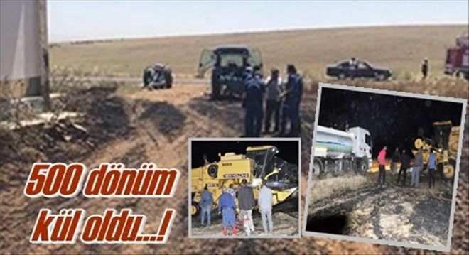 Tarla tamamen kül oldu!