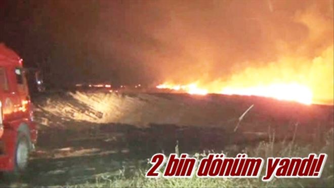 2 bin dönüm yandı!