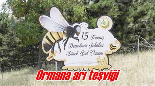 Ormana arı teşviği