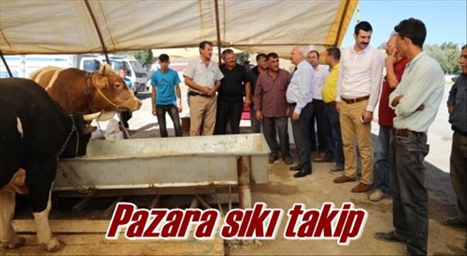 Pazara sıkı takip