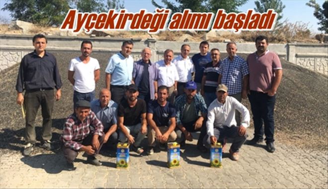 Ayçekirdeği alımı başladı