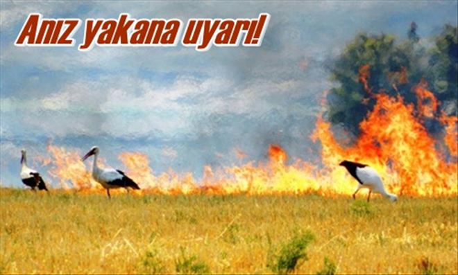 Anız uyarısı!