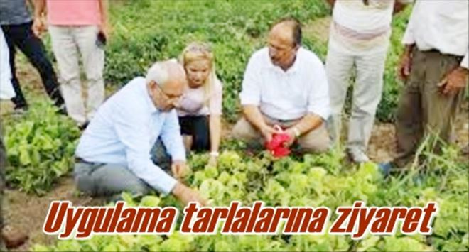 Uygulama tarlalarına ziyaret