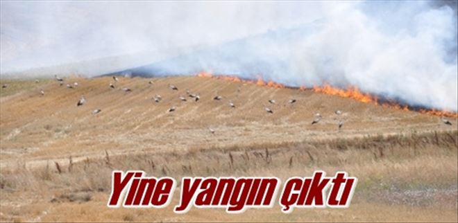 Keskin´de anız yangını 