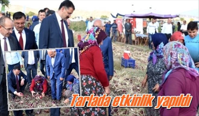 Tarla günü etkinliği