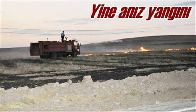 Yine anız yangını