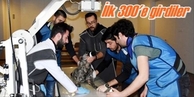 Veteriner Fakültesi başarısı
