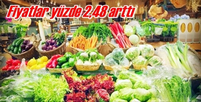 Fiyatlar yüzde 2,48 arttı 