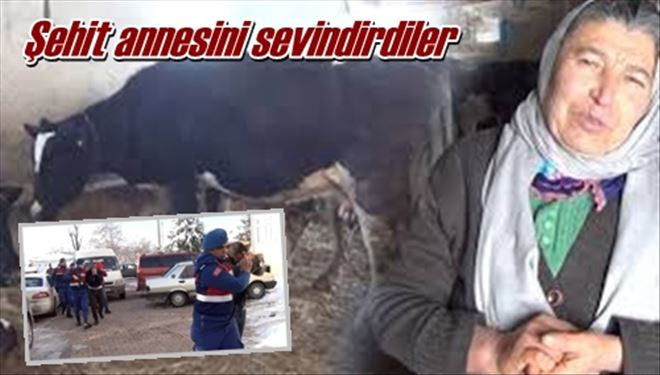 Şehit annesini sevindirdiler