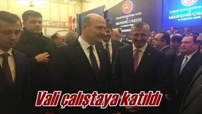 Vali çalıştaya katıldı