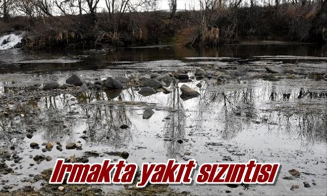 Irmakta yakıt sızıntısı