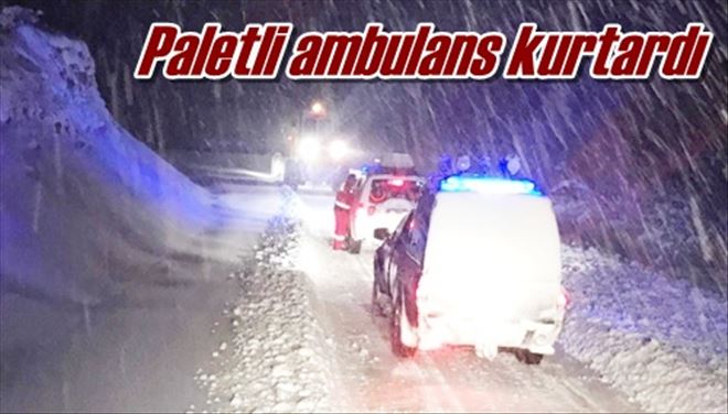 Paletli ambulans kurtardı