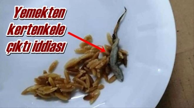 Yemekten kertenkele çıktı iddiası