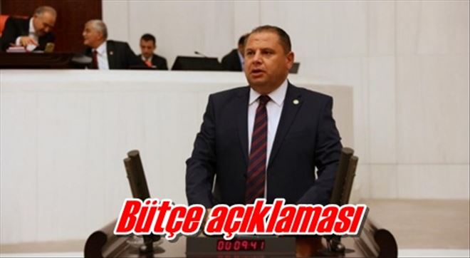 Bütçe açıklaması