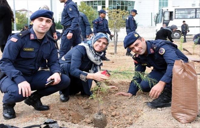 Şehitler için fidan