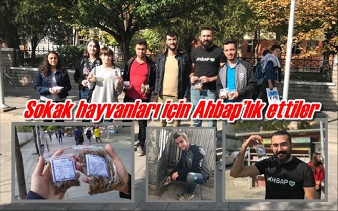 Sokak hayvanları için Ahbap´lık ettiler