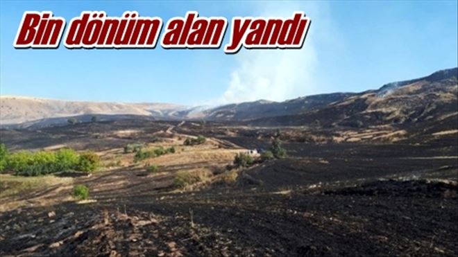 Bin dönüm alan yandı