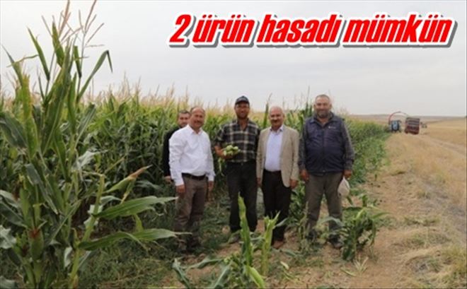 2 ürün hasadı mümkün