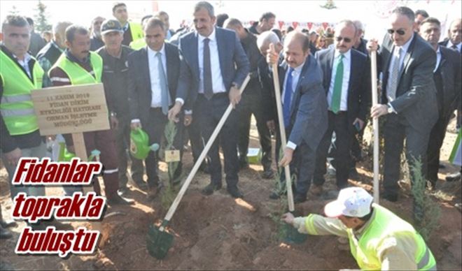Fidanlar toprakla buluştu