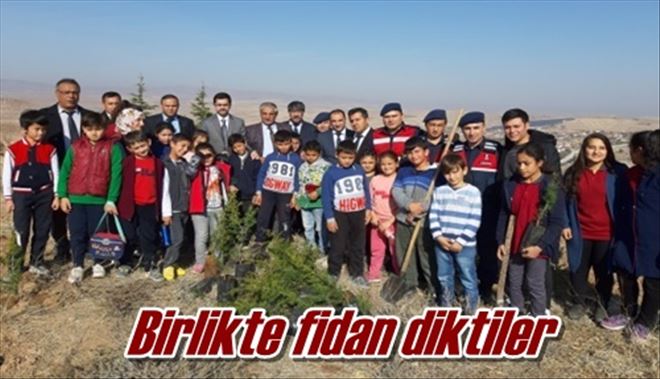 Birlikte fidan diktiler