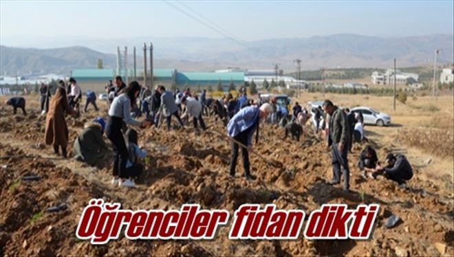 Öğrenciler fidan dikti