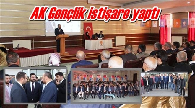 AK Gençlik istişare yaptı