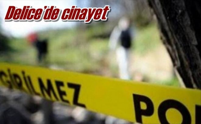 Delice´de cinayet