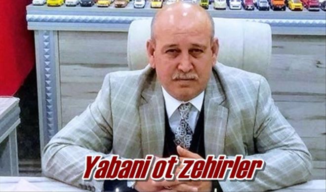 Yabani ot zehirler
