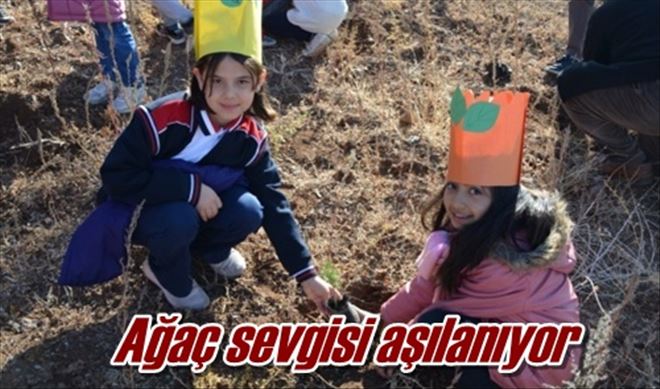 Ağaç sevgisi aşılanıyor