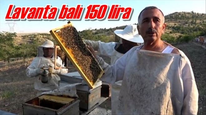 Lavanta balı 150 lira