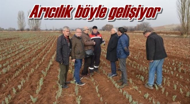 Arıcılık böyle gelişiyor