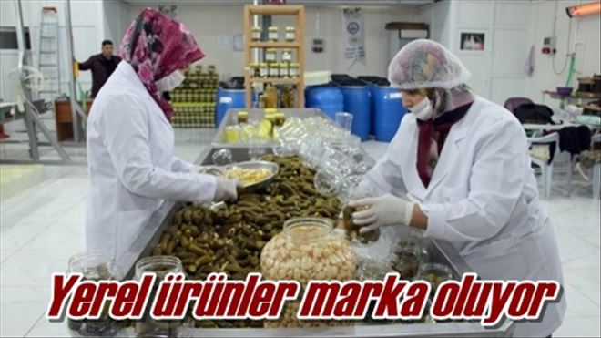 Yerel ürünler marka oluyor