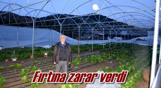 Fırtına zarar verdi