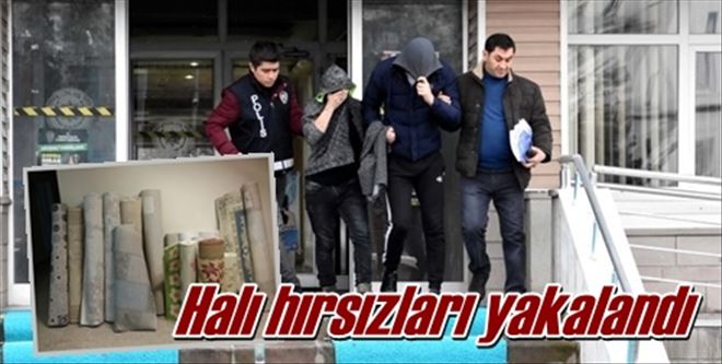 Halı hırsızları yakalandı