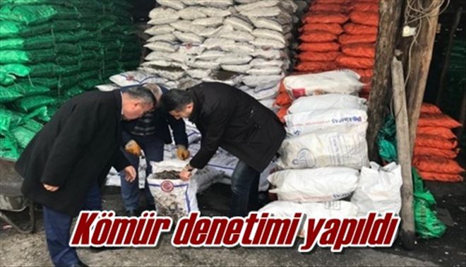 Kömür denetimi yapıldı
