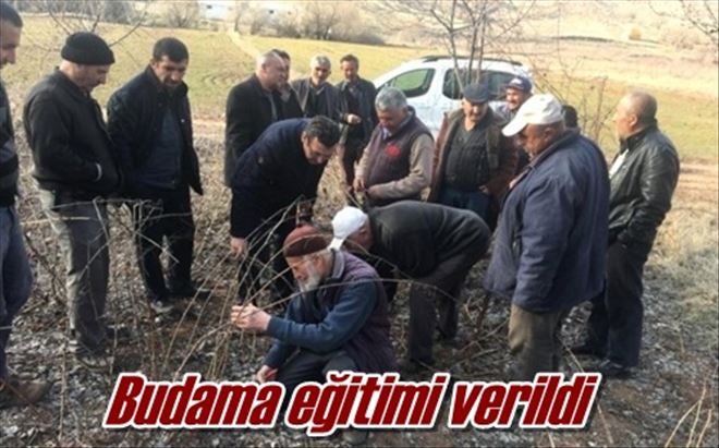 Budama eğitimi verildi