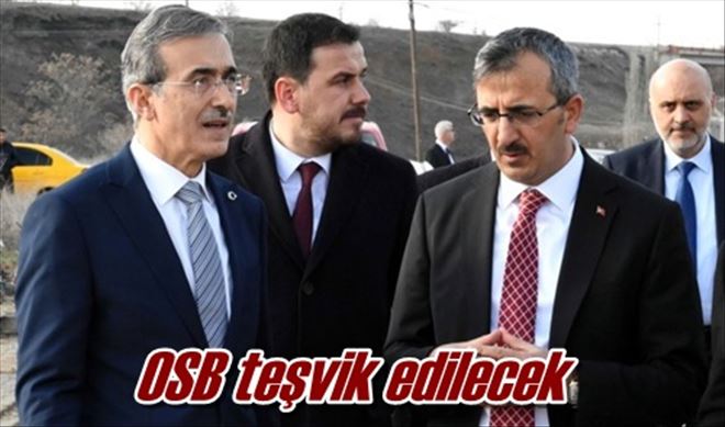 OSB teşvik edilecek