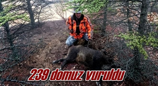 Kırıkkale´de sürek avı