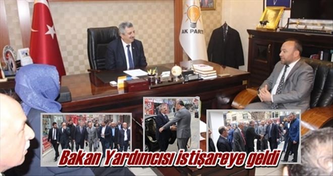 Bakan Yardımcısı istişareye geldi