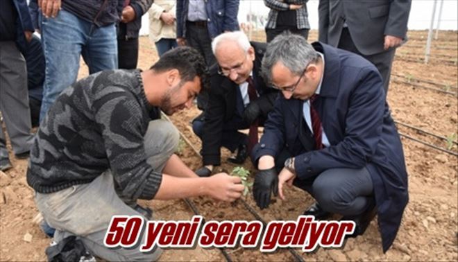 50 yeni sera geliyor