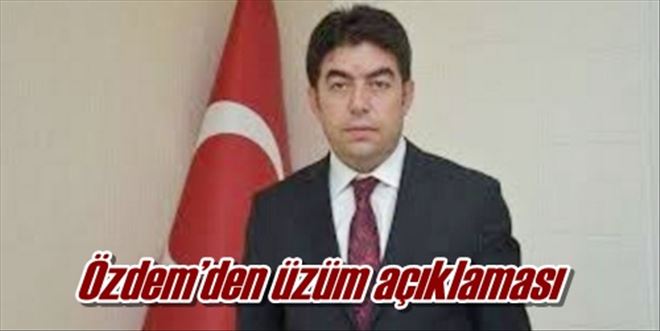 Özdem´den üzüm açıklaması